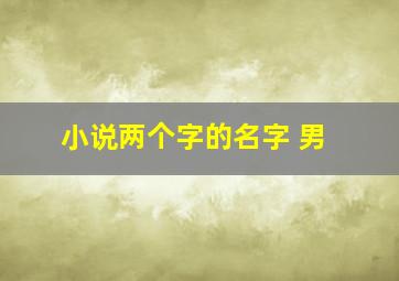 小说两个字的名字 男